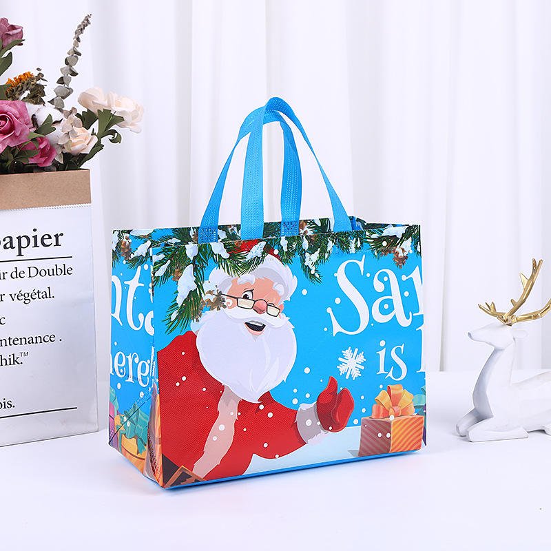 Non-Woven Gift Bag – Custom-Print Reusable OEM - front view